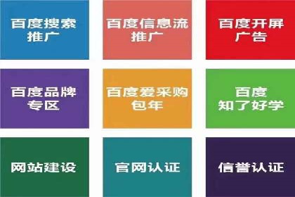 百度竞价排名服务：成功案例解析与优化策略